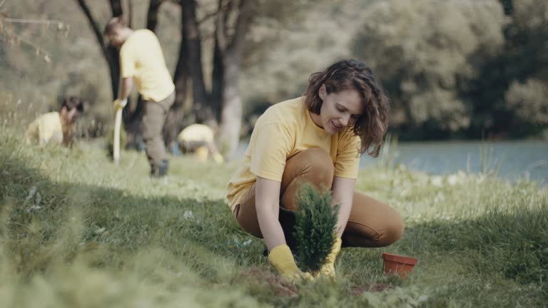 Lawn Drainage Solutions in Gorman, TX